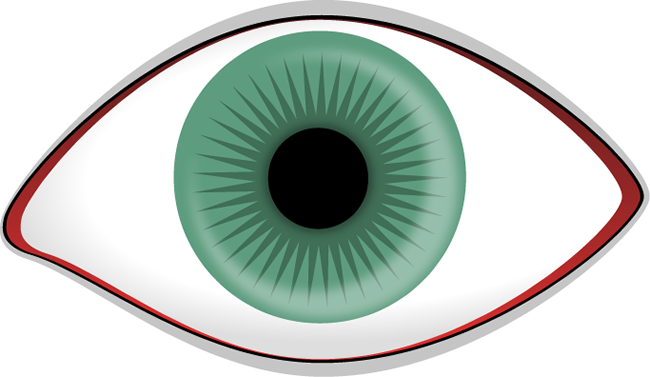 Auge Eye