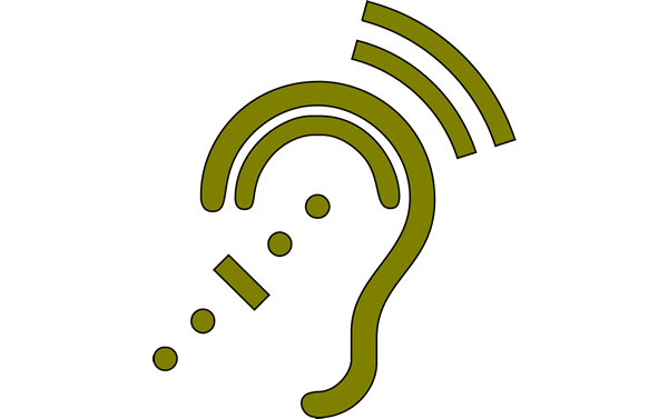 Ohr Ear